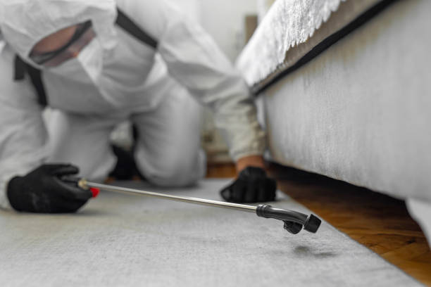 Professional Termite Control technician working in Dunnellon, FL