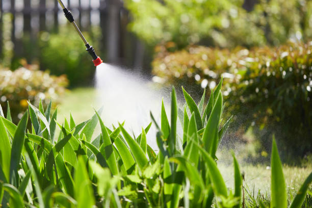 24/7 Emergency Termite Control experts in Dunnellon, FL