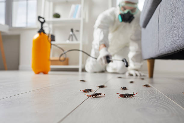 Affordable Termite Control solutions in Dunnellon, FL